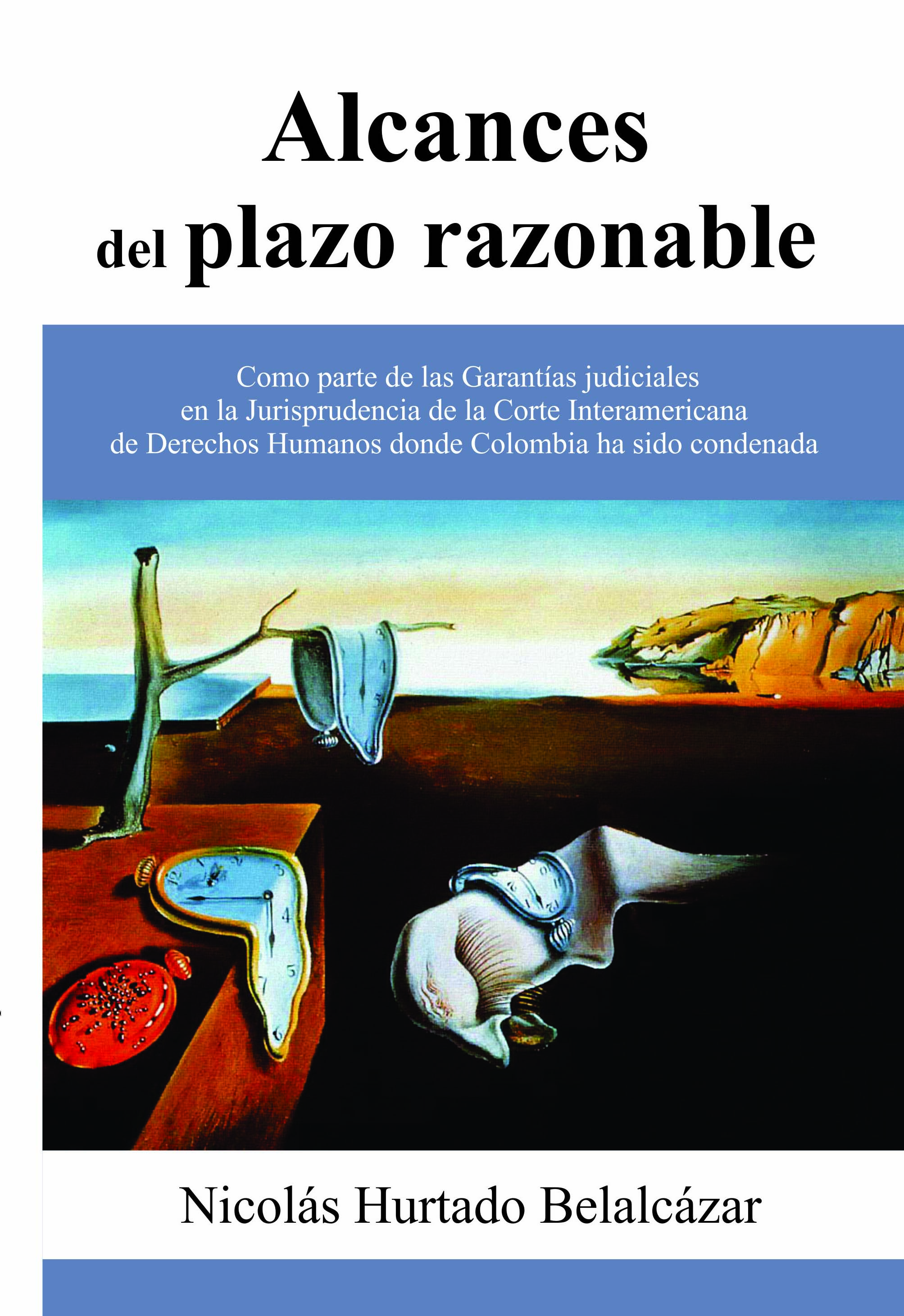 Alcances del plazo razonable