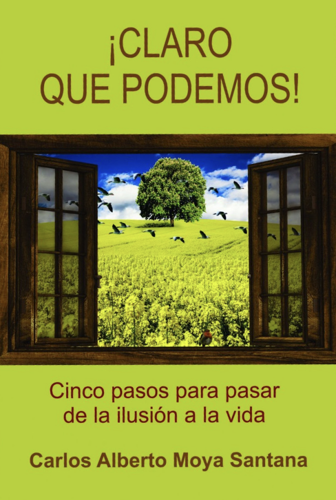 ¡Claro que podemos! Cinco pasos para pasar de la ilusión a la vida