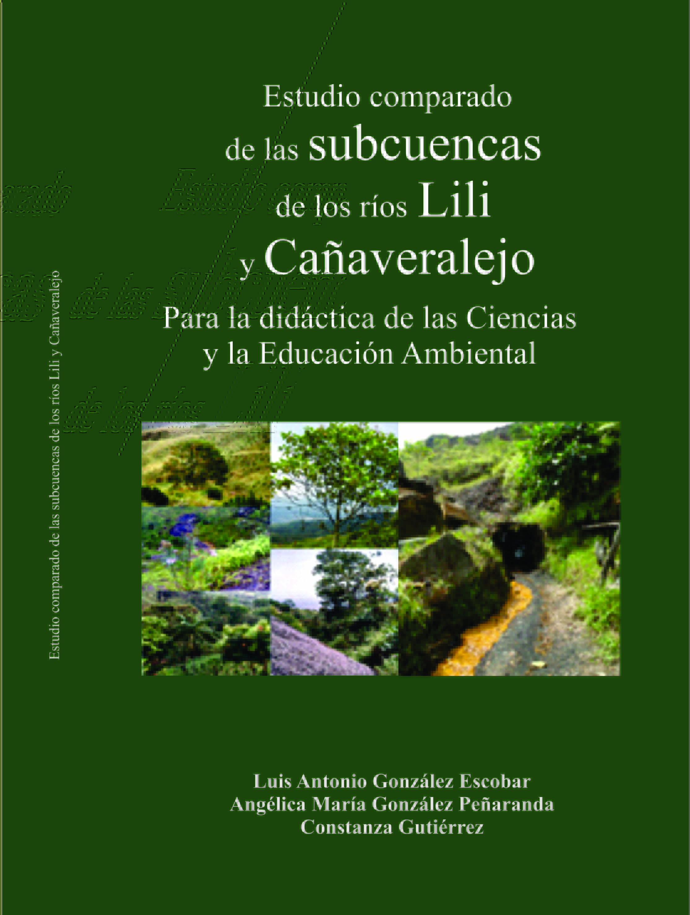 Estudio comparado de las subcuencas de los ríos Lili y Cañaveralejo