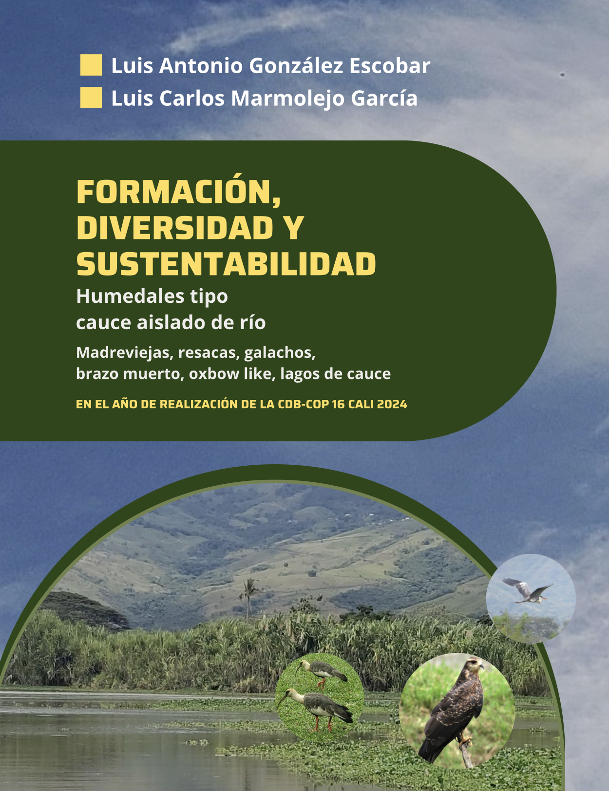 Formación, diversidad y sustentabilidad: Humedales tipo cauce aislado de Río