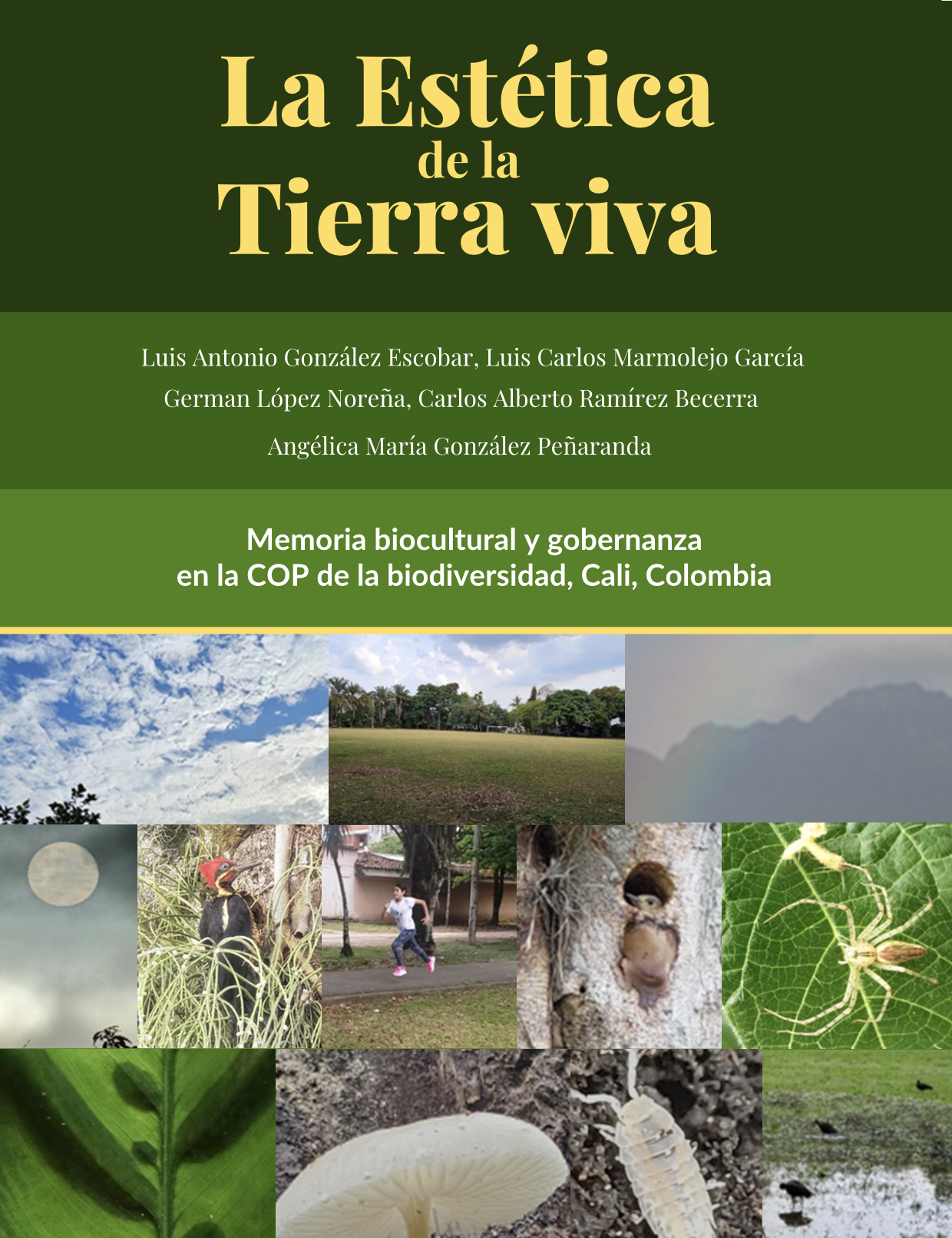 La estética de la Tierra