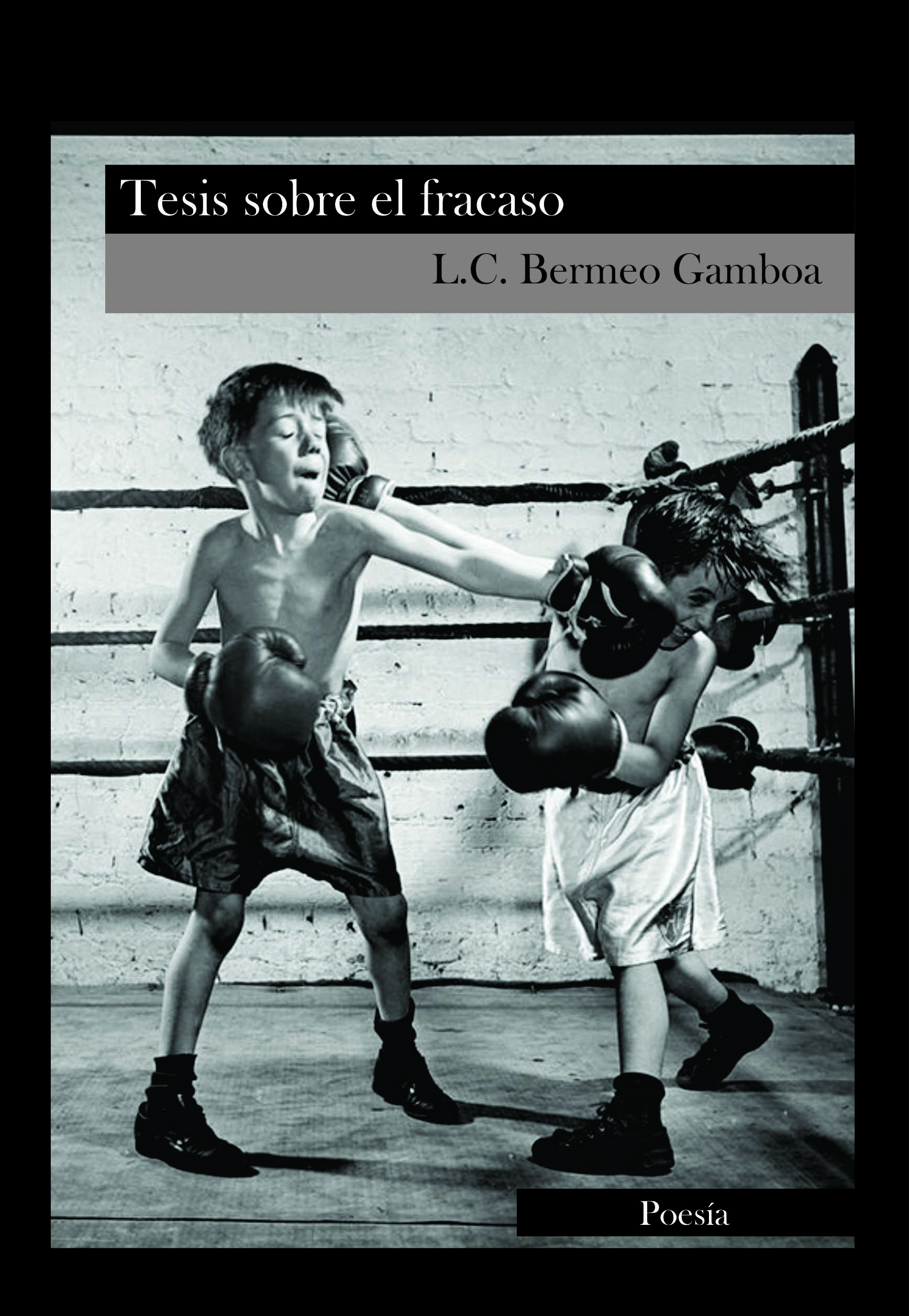 Tesis sobre el fracaso